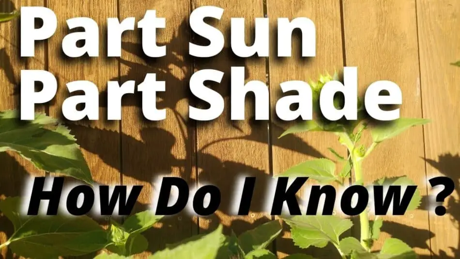 click to learn part sun part shade
